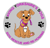 SAVING YORKSHIRE'S DOGS